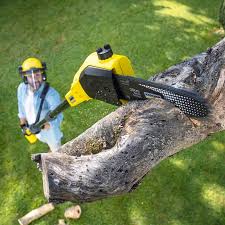 Best Commercial Tree Services  in Honaunau Napoopoo, HI